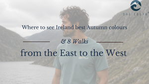 Where to See Ireland's Best Autumn Colour: 8 Walks from Wicklow to Mayo